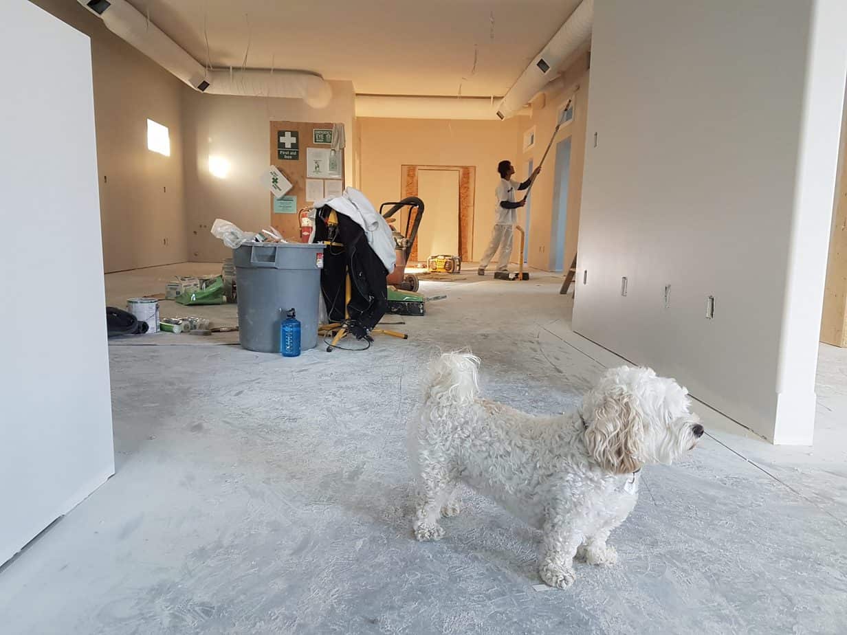 Remodeling a House tips