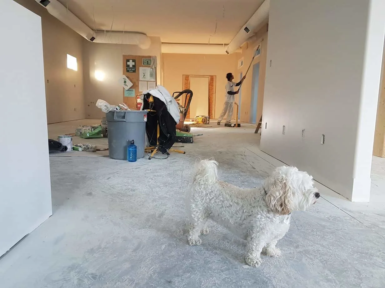 Remodeling a House tips