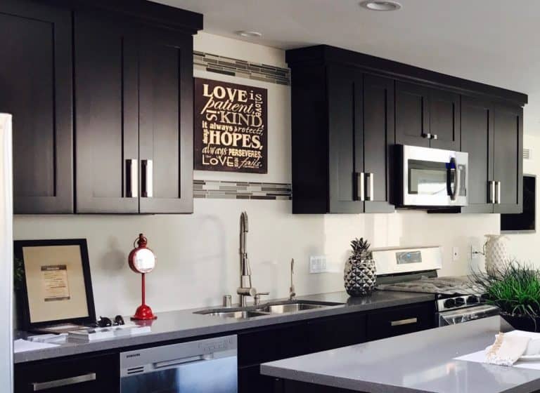 Do Black Kitchen Cabinets Show Dirt? – Best Home Fixer