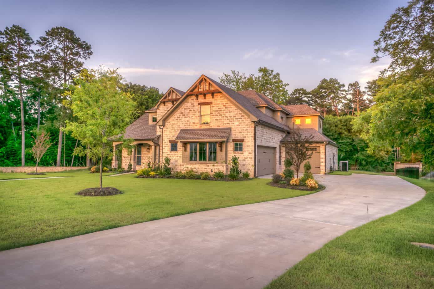 Does Homeowners Insurance Cover Diseased Tree Removal