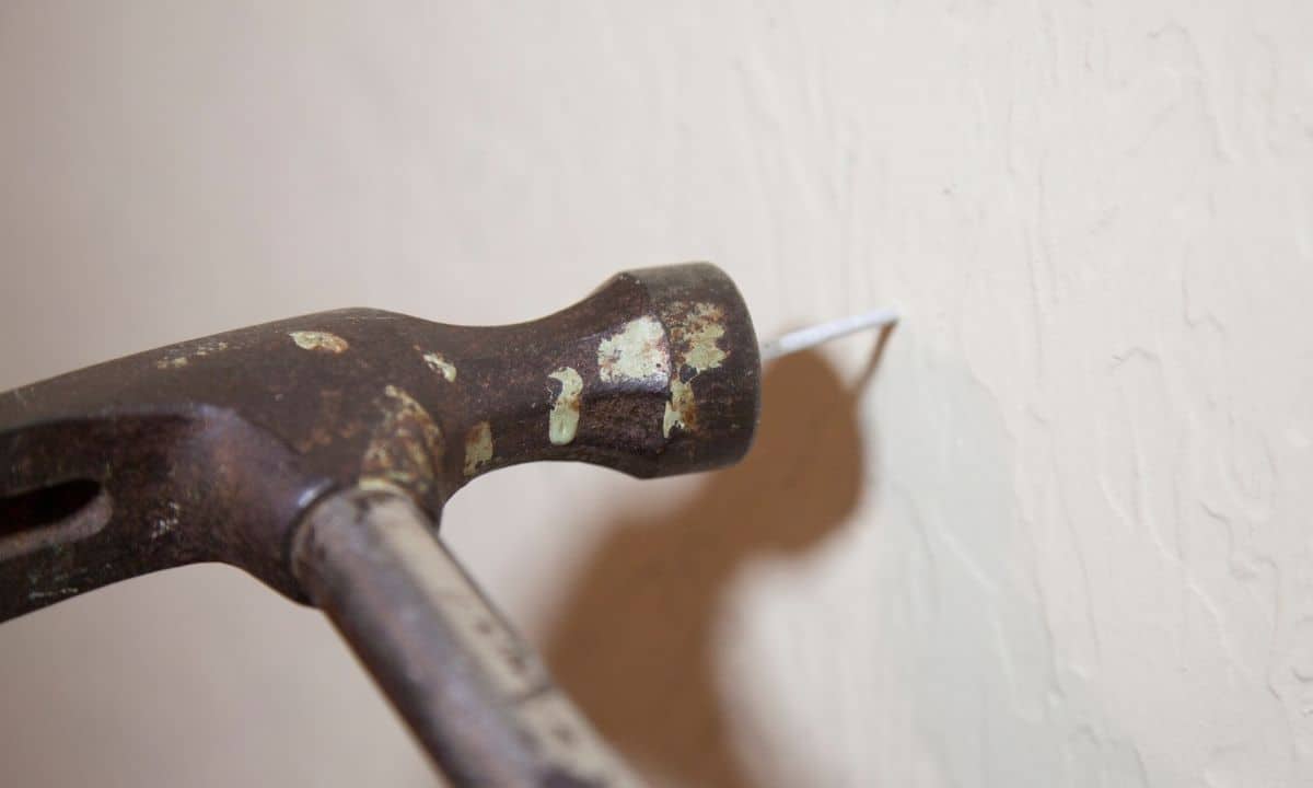 Do I Need Mold Resistant Drywall In The Garage? Best Home Fixer