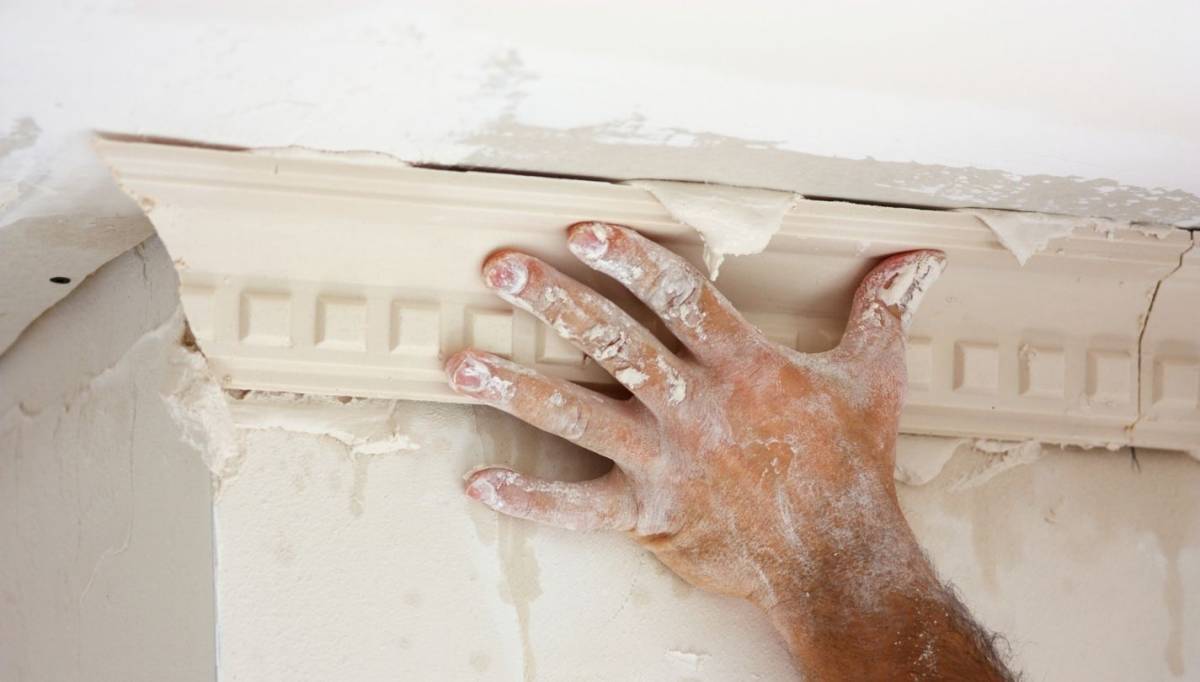 StepByStep How To Stop Plaster From Sticking To Mold Best Home Fixer
