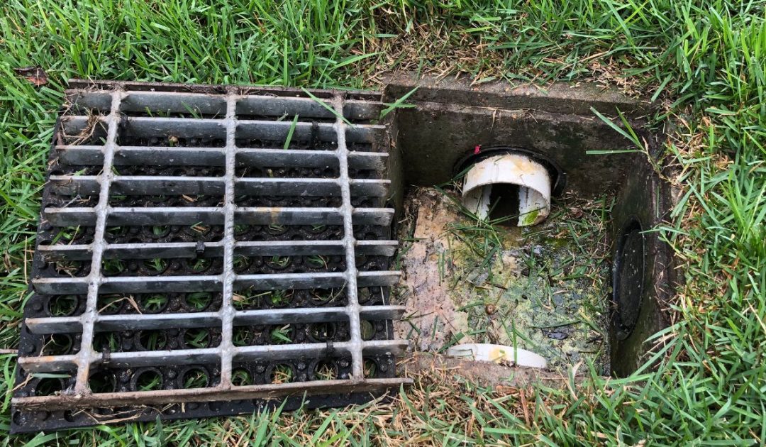 Basement Drain Backing Up? Here’s How To Fix & Prevent It Best Home Fixer