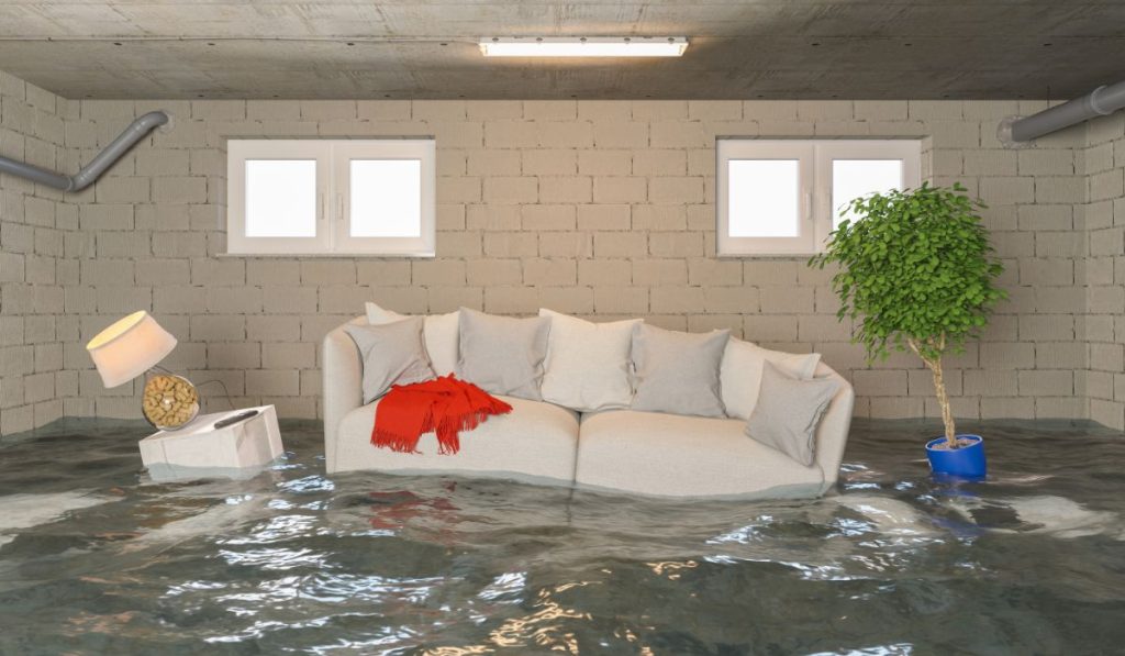 Basement Drain Backing Up? Here’s How To Fix & Prevent It Best Home Fixer