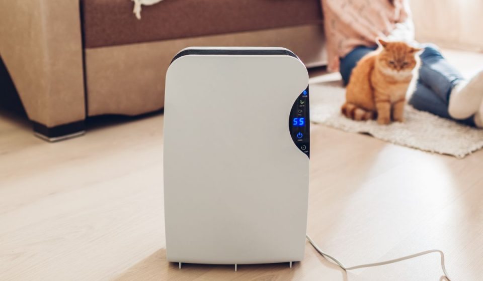 The 5 Best Attic Dehumidifiers (For 2023) Best Home Fixer